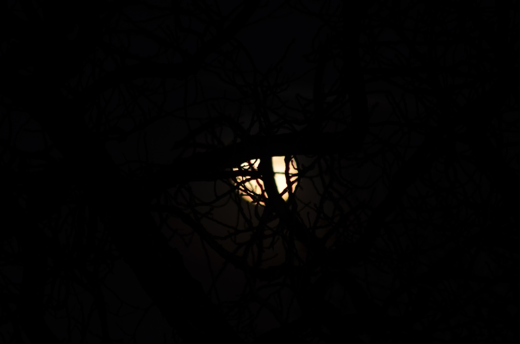 Up there/Moon/DSC_0380.JPG